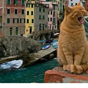 stella-di-rio-riomaggiore.hotelitalianriviera.com/